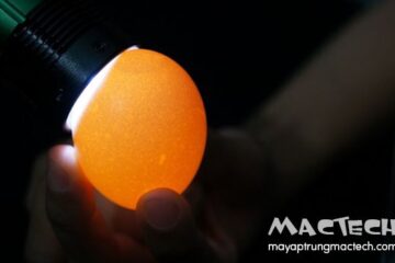 Trứng gà bị rỗ vỏ có ấp được không? Hỏi đáp Mactech Việt Nam