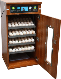 máy ấp trứng 200 quả