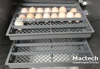 Máy ấp trứng mini Mactech