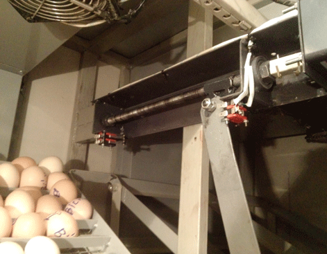 Trục đảo của máy ấp trứng công nghiệp Mactech