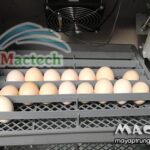 Các kiểu đảo trứng tự động dùng cho máy ấp trứng hiện nay