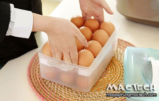 Trứng gà để được bao nhiêu ngày trước khi mang đi ấp