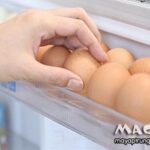 Giải đáp thắc mắc trứng gà bỏ tủ lạnh có ấp được không