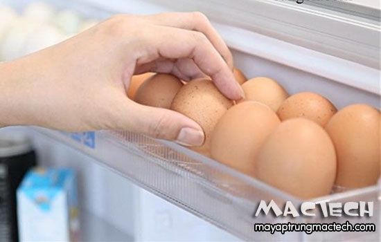 trứng gà bỏ tủ lạnh có ấp được không