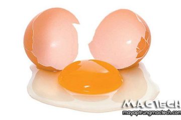 Ăn trứng gà ta sống có tác dụng gì? Có tốt hay không