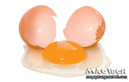 Ăn trứng gà ta sống có tác dụng gì
