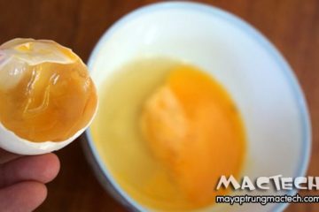 Trứng gà bị lỏng khi ấp, nguyên nhân và cách khắc phục
