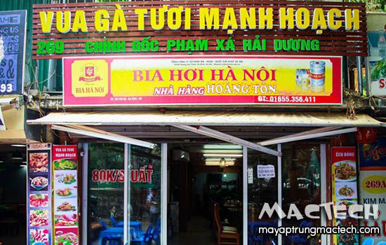 Gà Mạnh Hoạch là loại gà gì