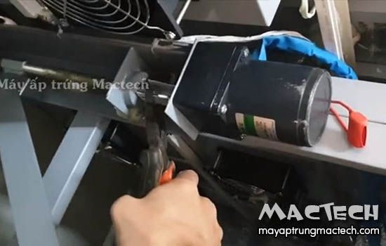 Hướng dẫn kiểm tra động cơ máy ấp trứng công nghiệp Mactech