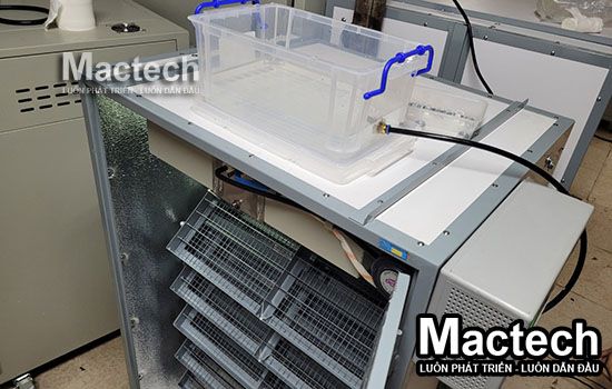 Máy ấp trứng phiên bản khay nước trên Mactech