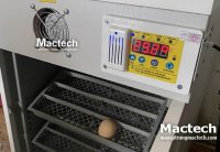 Ấp trứng bằng máy