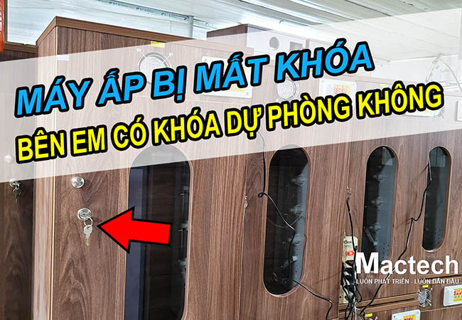 Máy ấp trứng bị mất khóa thì làm thế nào
