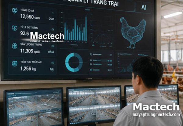 Áp dụng công nghệ cao vào chăn nuôi