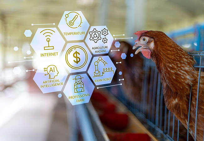 Máy ấp trứng tích hợp AI