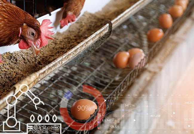 Máy ấp trứng tích hợp AI
