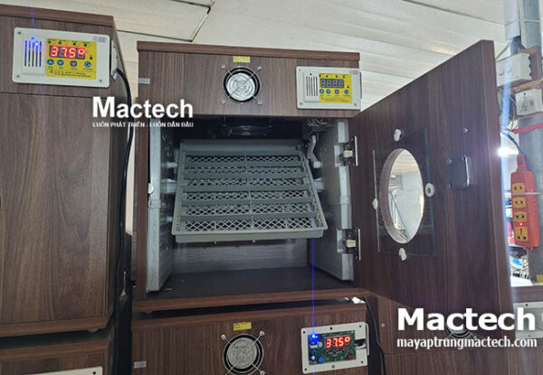 Máy ấp 50 trứng Mactech