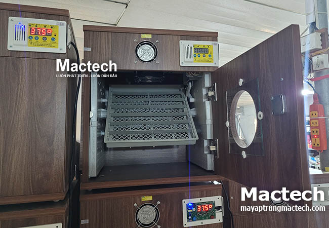 Máy ấp 50 trứng Mactech