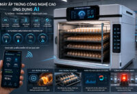 Ấp trứng kết hợp AI